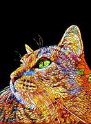 Image result for Colorful Cat Art