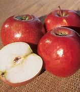 Image result for What Is a Snow Apple