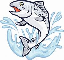 Image result for Atlantic Salmon Clip Art
