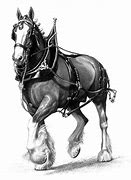 Image result for Canadian Clydesdale Horse