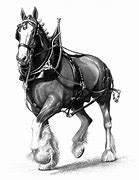 Image result for Big Clydesdale