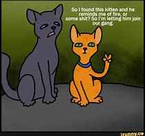 Image result for Cartoon Cat Memes