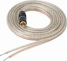 Image result for RCA Speaker Wire