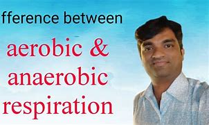 Image result for What Is the Difference Between Aerobic and Anaerobic Respiration