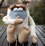 Image result for Yeti Toys