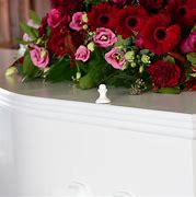 Image result for Painted Coffin