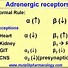 Image result for Alpha-Adrenergic Agonists