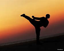 Image result for Karate Sunset