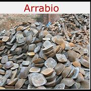 Image result for abrigaro