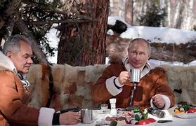 Image result for Pick of Putin
