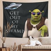 Image result for Shrek Face Get Out of My Swamp