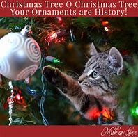 Image result for Christmas Memes to Make You Laugh