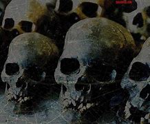 Image result for Gothic Skull Wallpaper
