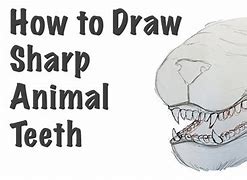 Image result for Animal Teeth Drawing