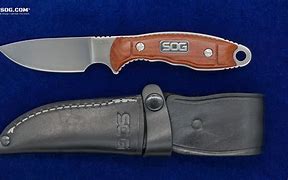 Image result for SOG Skinning Knife