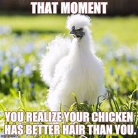 Image result for Feel Better Meme Chicken
