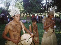 Image result for aguapeu