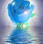 Image result for Cool 3D Background Desktop Rose