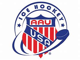 Image result for WPA Bruins AAU Logo