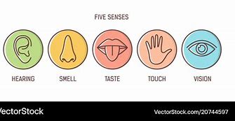 Image result for 5 Senses Symbols