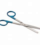 Image result for Blunt Point Scissors