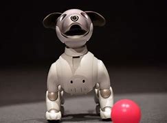 Image result for Life with Aibo