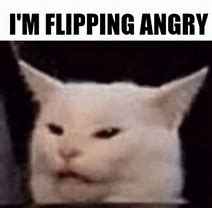 Image result for Raging Cat Meme