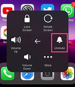 Image result for Silent Button iPhone 5
