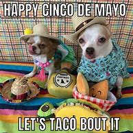 Image result for Cinco De Mayo Club Flyers