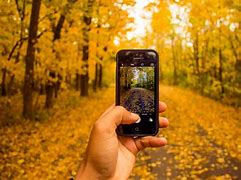 Image result for Fall iPhone Wallpaper