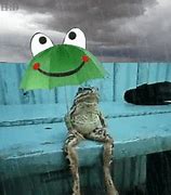 Image result for Sad Frog Umrella Meme