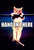Image result for Fun Hang in There Meme