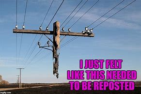 Image result for Telephone Pole Meme