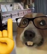 Image result for Dog Glasses Meme
