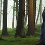 Image result for Costume Drama Movies
