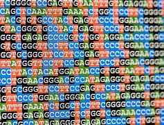 Image result for Complete Human Genome