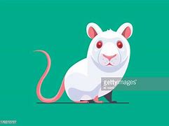 Image result for Computer Mouse Icon