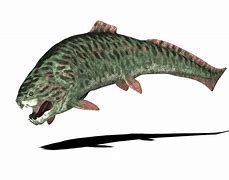 Image result for Small Prehistoric Fish