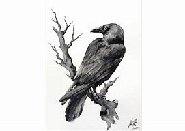 Image result for Gothic Raven Drawings