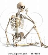 Image result for Skeleton Sit