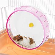 Image result for Hamster Wheel Car