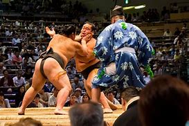 Image result for Sumo Wrestlers Fighting