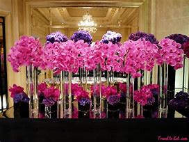 Image result for Hydrangea and Orchid Bouquet
