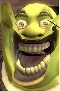 Image result for Random Shrek Meme
