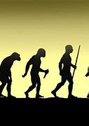 Image result for Evolution Funny