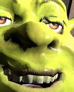 Image result for Shrek Distorted Meme