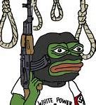 Image result for Pepe Meme Soldier