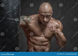 Image result for Mixed Martial Arts Training Equipment
