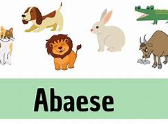 Image result for abaese