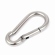 Image result for D-Ring with Keychain Clip